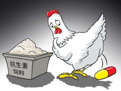 食品抗生素層出不窮，如何檢測？